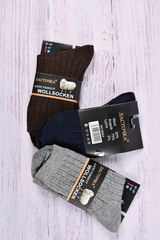 Шкарпетки чоловічі "Ластівка" розмір 41-47 (склад WOOL 20% ANGORA 75% LYCRA 5%) арт.B604-4