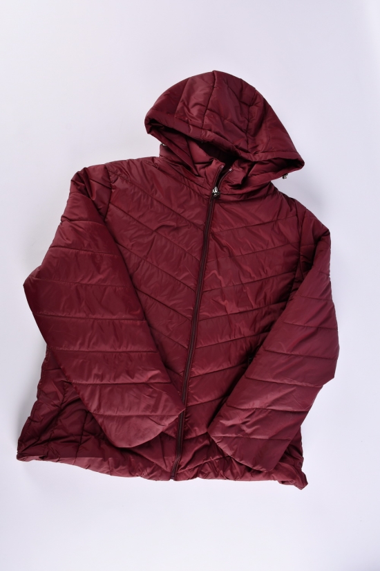 Куртка жіноча (кол. бордовий) з плащової тканини демісезонна "FINEBELL" Розміри в наявності : 44, 48, 54 арт.2036-1H